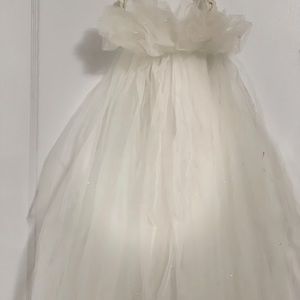 Wedding Veil